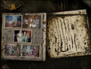 The Tsunami, One Year Later