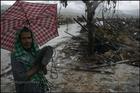 The Tsunami, One Year Later