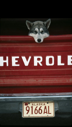 (c) Dennis Stock / Magnum Photos