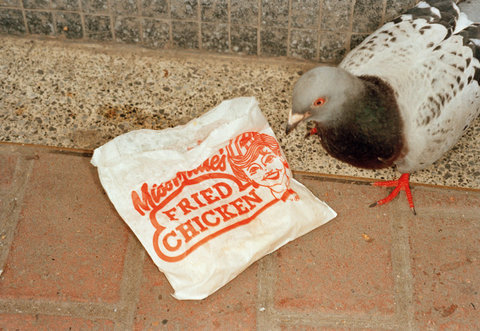 (c) 
Martin Parr
 / Magnum Photos