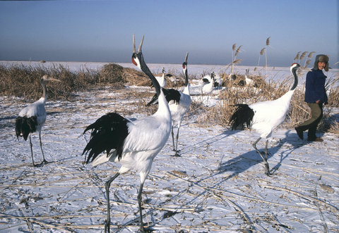 (c) 
Hiroji Kubota
 / Magnum Photos