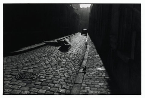 (c) 
Elliott Erwitt
 / Magnum Photos