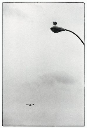 (c) 
Elliott Erwitt
 / Magnum Photos