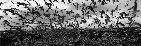 (c) 
Josef Koudelka
 / Magnum Photos