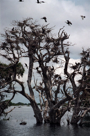 (c) 
John Vink
 / Magnum Photos