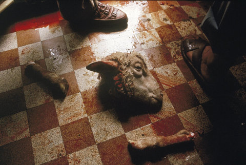 (c) Steve McCurry / Magnum Photos