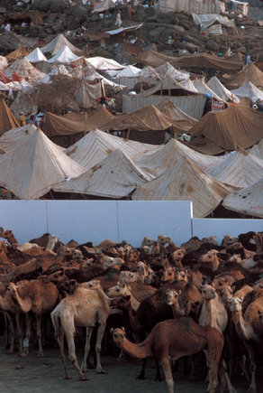 (c) Abbas / Magnum Photos