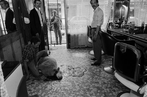 (c) Abbas / Magnum Photos