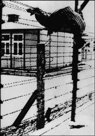 (c) Bar Am Collection / Magnum Photos