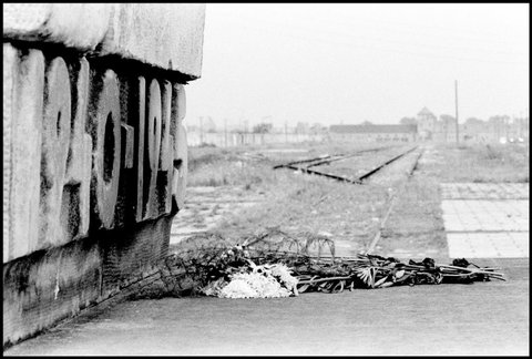 (c) Elliott Erwitt / Magnum Photos