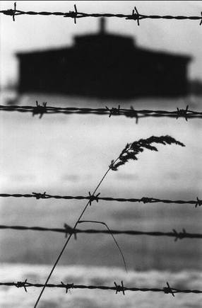(c) Raymond Depardon / Magnum Photos