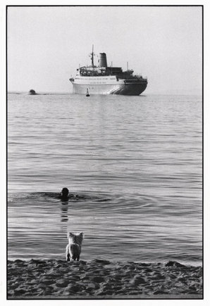(c) Elliott Erwitt / Magnum Photos