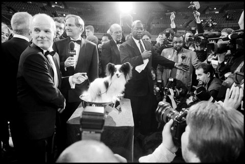 (c) 
Elliott Erwitt
 / Magnum Photos