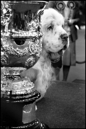 (c) 
Elliott Erwitt
 / Magnum Photos