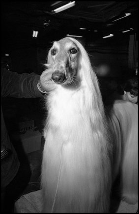 (c) 
Bruce Gilden
 / Magnum Photos