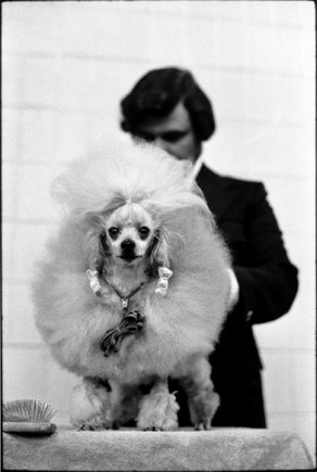 (c) 
Elliott Erwitt
 / Magnum Photos