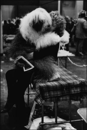 (c) 
Elliott Erwitt
 / Magnum Photos