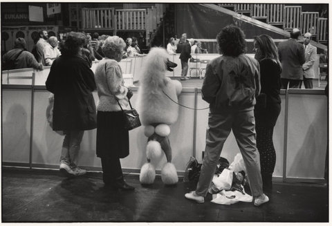 (c) 
Elliott Erwitt
 / Magnum Photos