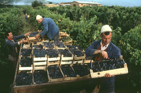 (c) Steve McCurry / Magnum Photos