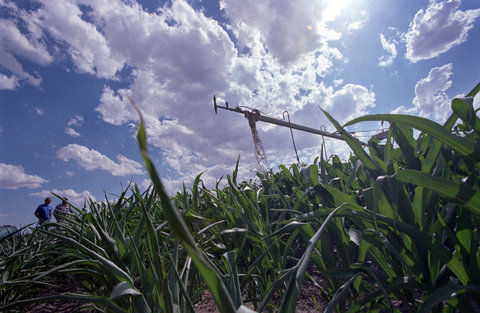 (c) Ilkka Uimonen / Magnum Photos