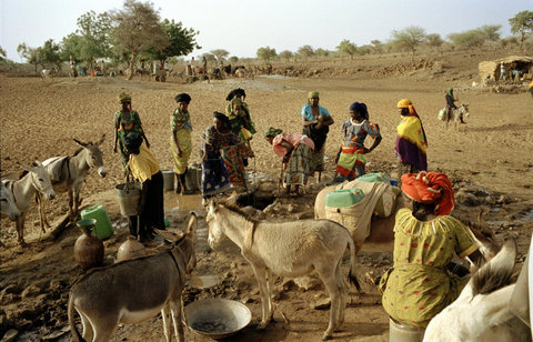(c) Stuart Franklin / Magnum Photos