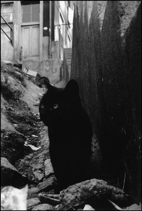 (c) Sergio Larrain / Magnum Photos