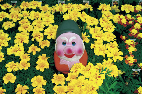 (c) Martin Parr / Magnum Photos