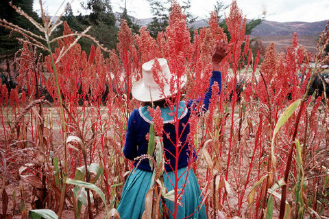 (c) Stuart Franklin / Magnum Photos