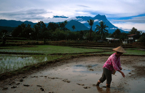 (c) Stuart Franklin / Magnum Photos