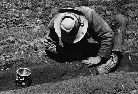 (c) Dennis Stock / Magnum Photos
