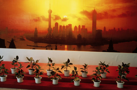 (c) Thomas Hoepker / Magnum Photos