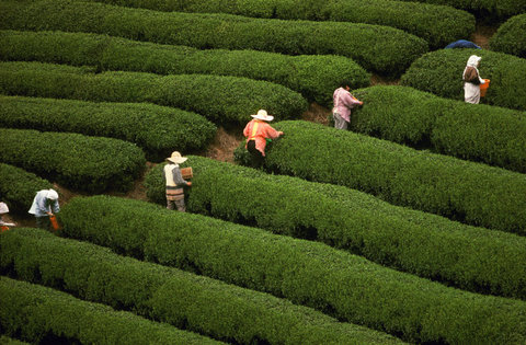 (c) Thomas Hoepker / Magnum Photos