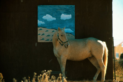 (c) Thomas Hoepker / Magnum Photos