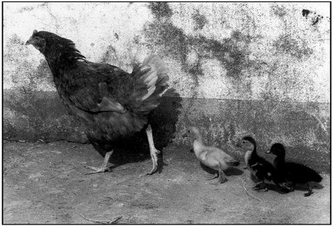 (c) Martine Franck / Magnum Photos