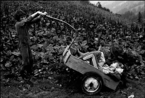 (c) Martine Franck / Magnum Photos