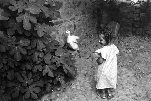 (c) Ferdinando Scianna / Magnum Photos