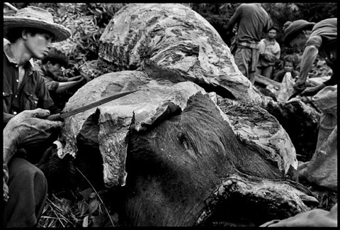 (c) Chien-Chi Chang / Magnum Photos