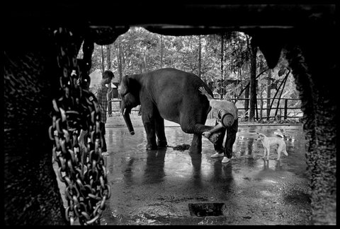 (c) Chien-Chi Chang / Magnum Photos