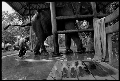 (c) Chien-Chi Chang / Magnum Photos