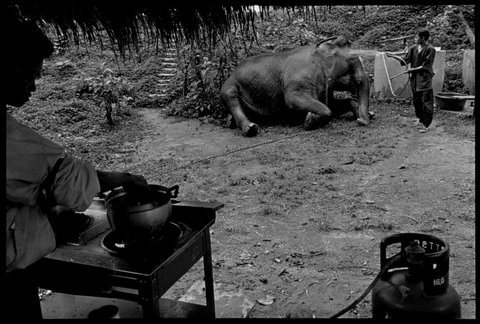 (c) Chien-Chi Chang / Magnum Photos