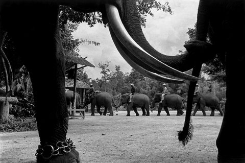 (c) Chien-Chi Chang / Magnum Photos