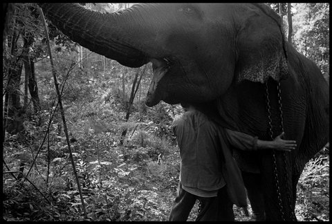 (c) Chien-Chi Chang / Magnum Photos