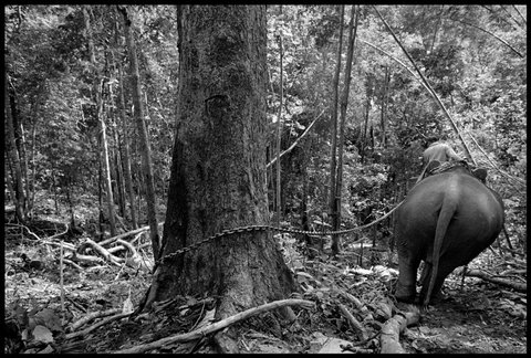 (c) Chien-Chi Chang / Magnum Photos