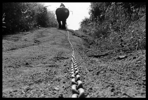 (c) Chien-Chi Chang / Magnum Photos