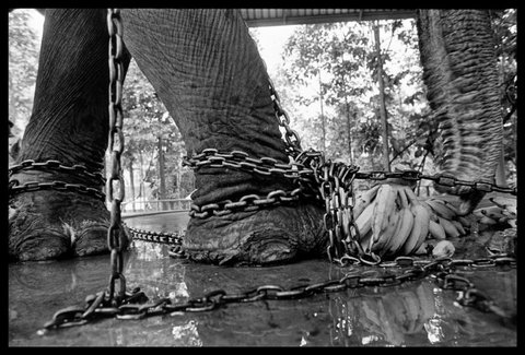 (c) Chien-Chi Chang / Magnum Photos