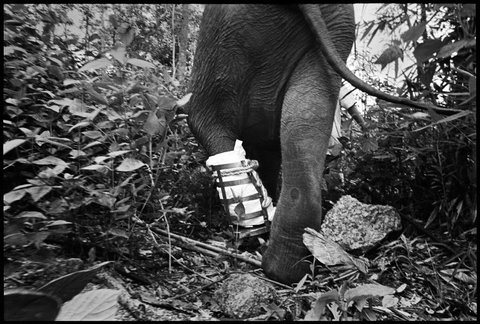 (c) Chien-Chi Chang / Magnum Photos