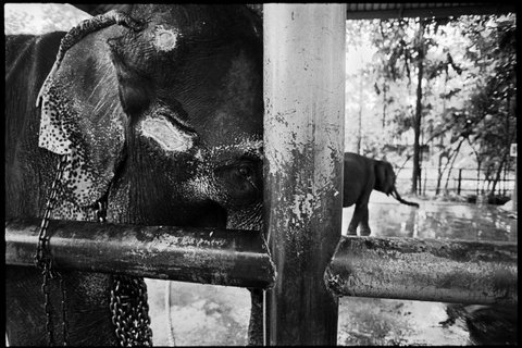 (c) Chien-Chi Chang / Magnum Photos