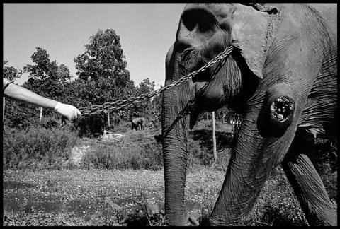 (c) Chien-Chi Chang / Magnum Photos