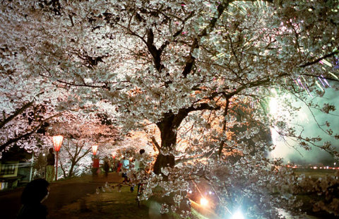 (c) Chris Steele-Perkins / Magnum Photos