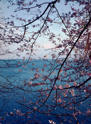 (c) Chris Steele-Perkins / Magnum Photos